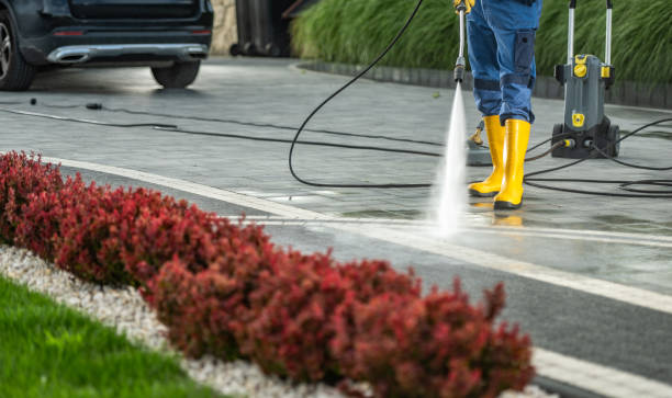 Best Window and Screen Pressure Cleaning in Bloomingdale, IL